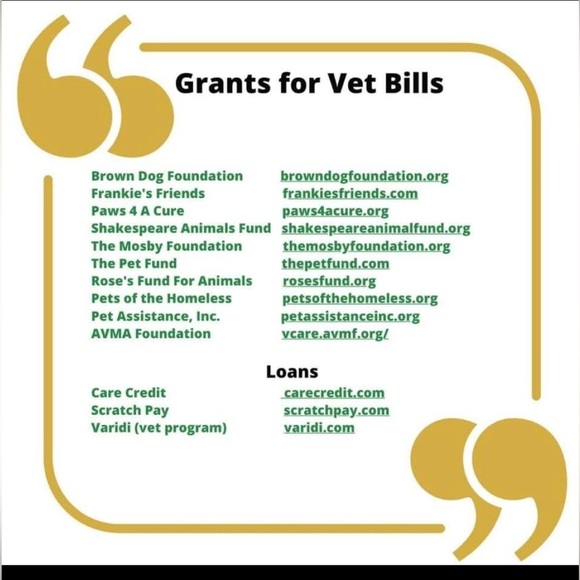 $1 DOG PIN/BROOCH. ENAMEL/METAL. NEW. $1 WITH ANY $10 ORDER OR MORE - Picture 14 of 16